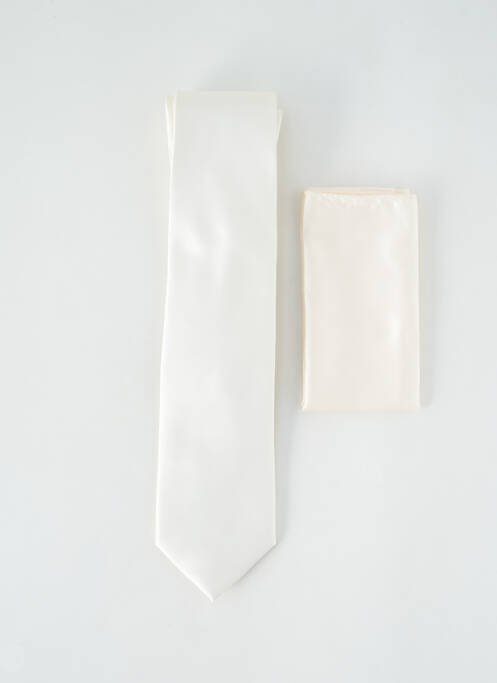 Cravate gris VIRTUOSE pour homme