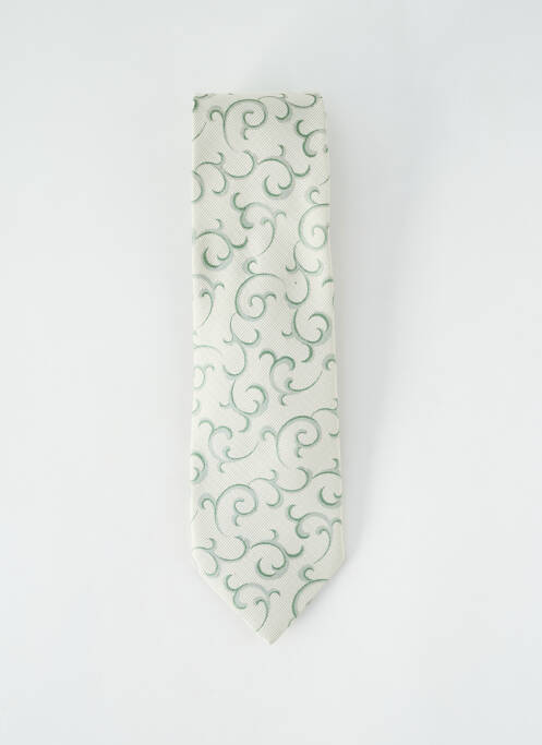 Cravate vert ELIOS pour homme