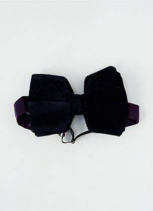 Noeud papillon bleu ELIOS pour homme