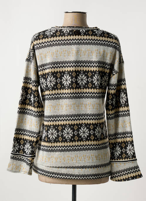 Pull coupe cintrée manches longues gris AKINOLAUDE femme