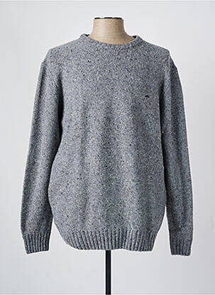 Pull col rond manches longues gris FYNCH-HATTON homme