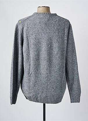 Pull col rond manches longues gris FYNCH-HATTON homme