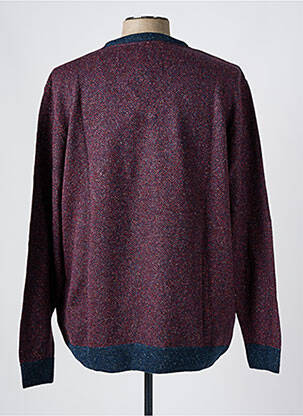 Pull col v manches longues bleu MONTE CARLO homme