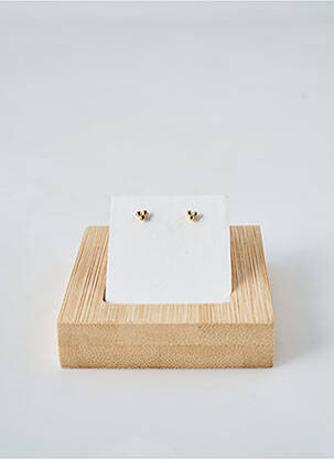 Boucles d’oreilles or ANA LUISA pour femme