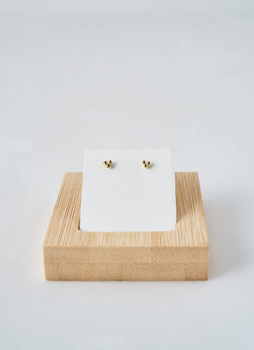Boucles d’oreilles or ANA LUISA pour femme