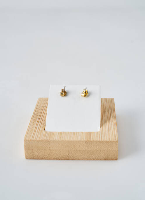 Boucles d’oreilles or ANA LUISA pour femme