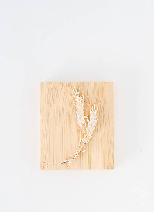 Broche or TATA GISELE pour femme