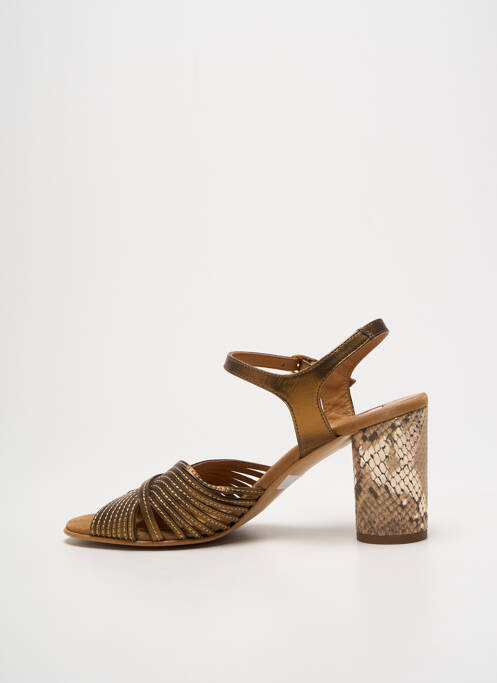 Sandales/Nu pieds marron JHAY pour femme