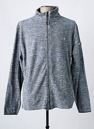 Polaire coupe droite gris BILLTORNADE homme