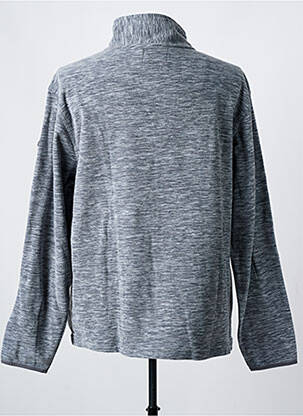 Polaire coupe droite gris BILL TORNADE homme