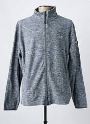 Polaire gris BILLTORNADE pour homme seconde vue