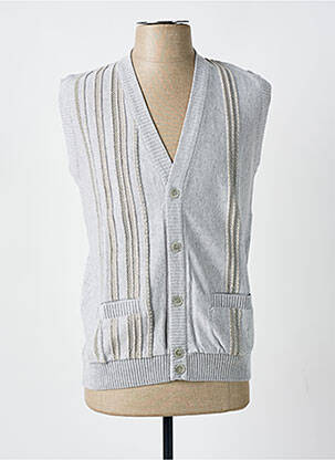 Gilet sans manche coupe cintrée gris LOUIS VICTOR femme