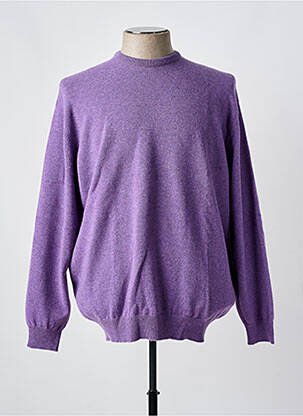 Pull col rond manches longues violet CROSSWAYS homme
