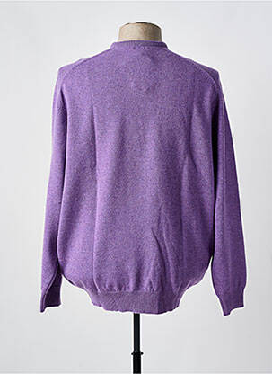 Pull col rond manches longues violet CROSSWAYS homme