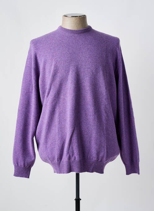 Pull col rond manches longues violet CROSSWAYS homme