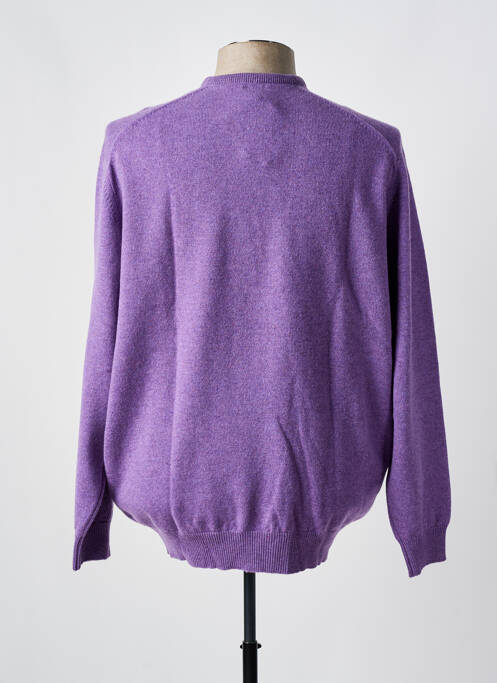 Pull col rond manches longues violet CROSSWAYS homme
