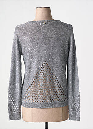Pull coupe cintrée manches longues gris GOA GOA femme