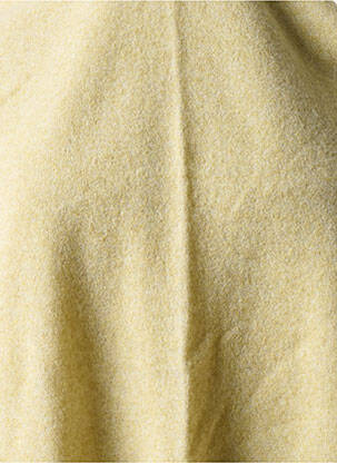 Echarpe stretch beige AMERICAN VINTAGE femme