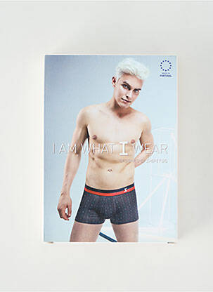 Boxer imprimé fantaisie bleu IMPETUS homme