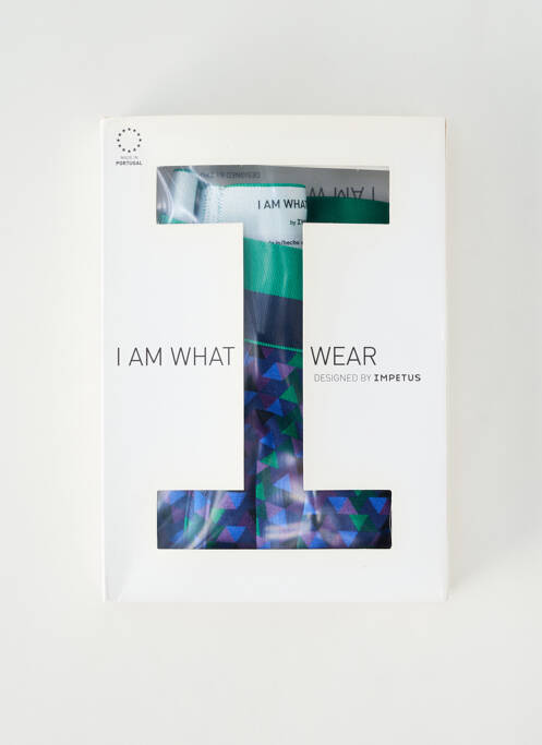 Boxer bleu IMPETUS pour homme