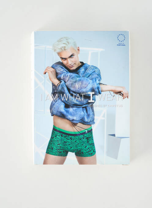 Boxer vert IMPETUS pour homme