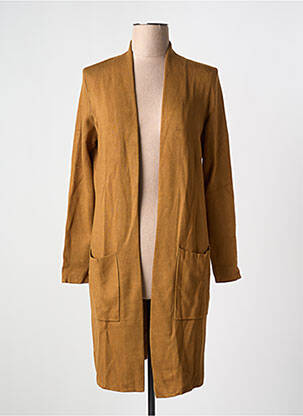 Gilet manches longues col v marron ZILCH femme