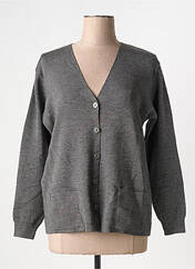 Gilet manches longues gris DUGER pour femme seconde vue