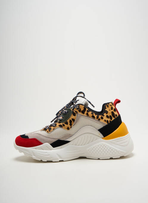 Baskets beige STEVE MADDEN femme