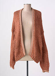 Gilet manches longues marron JS MILLENIUM femme