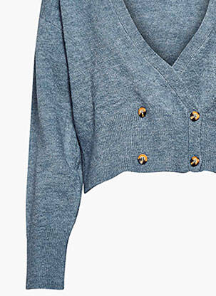 Gilet manches longues bleu ASTRID BLACK LABEL femme