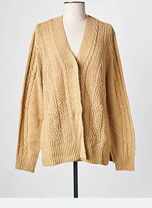 Gilet manches longues marron PERSONA BY MARINA RINALDI femme