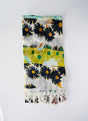 Foulard bleu STORIATIPIC pour femme