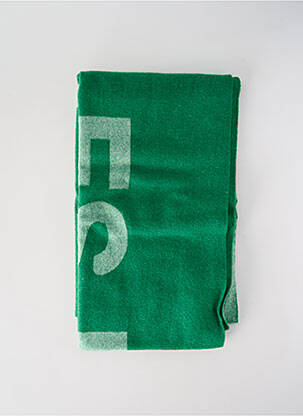 Echarpe vert LES DEUX homme