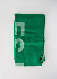 Echarpe vert LES DEUX homme