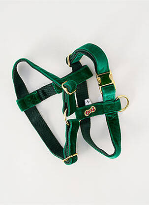 Accessoire divers vert BANDIT unisexe