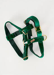 Accessoire divers vert BANDIT unisexe