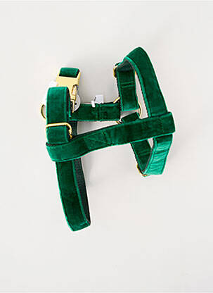 Accessoire divers vert BANDIT unisexe