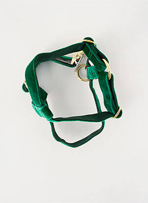 Accessoire divers vert BANDIT unisexe