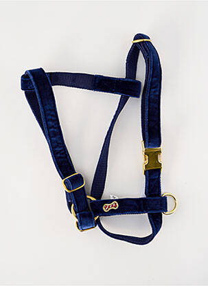 Accessoire divers bleu BANDIT unisexe