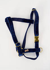 Accessoire divers bleu BANDIT pour unisexe seconde vue