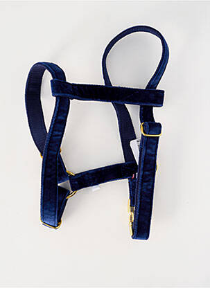 Accessoire divers bleu BANDIT unisexe