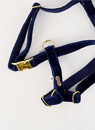 Accessoire divers bleu BANDIT unisexe