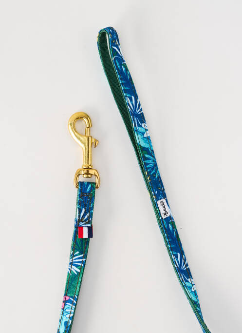 Accessoire divers bleu BANDIT unisexe