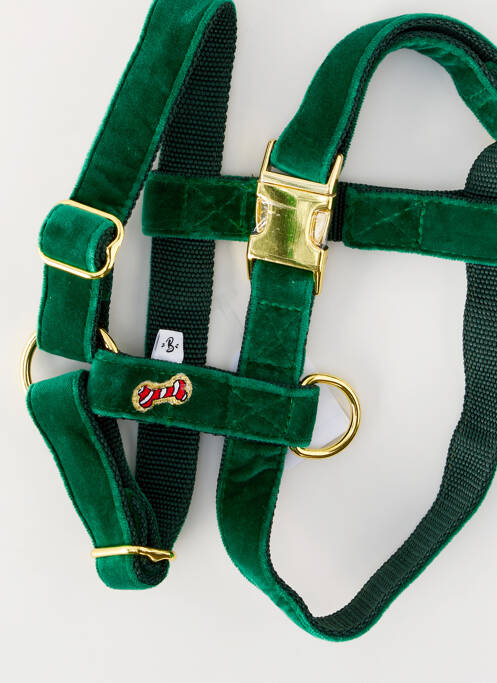 Accessoire divers vert BANDIT unisexe