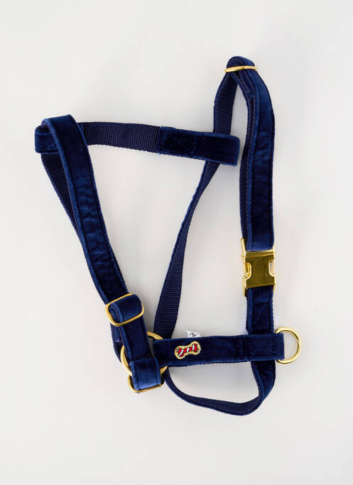 Accessoire divers bleu BANDIT pour unisexe