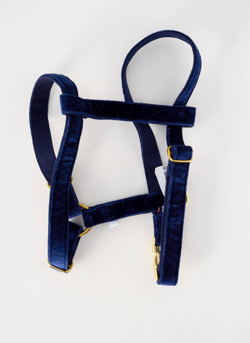 Accessoire divers bleu BANDIT unisexe