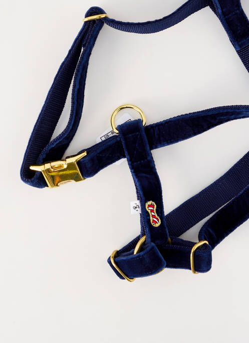 Accessoire divers bleu BANDIT unisexe