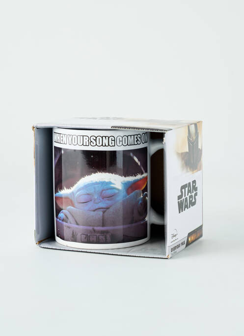 Divers maison gris PYRAMID INTERNATIONAL pour unisexe