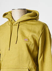Sweat-shirt à capuche vert DICKIES pour homme seconde vue