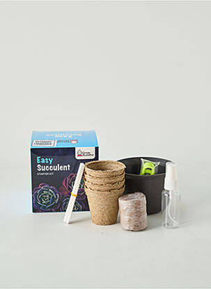 Accessoire divers vert GROW BUDDHA DECO pour unisexe